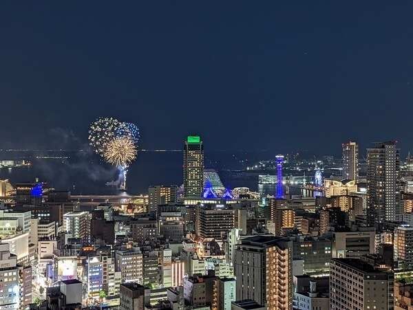 Tor Yamate The Kobe Tower / 3LDK, Kobe photo 15