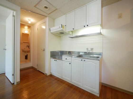 Espacio Sumikawa / Whole Apartment Building, Sapporo photo 4