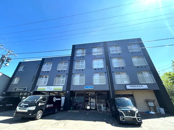 Roadside 24 / Whole Apartment Building, Sapporo photo