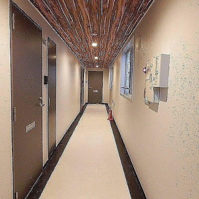 Suncourt Hondori / Whole Apartment Building, Sapporo photo 3
