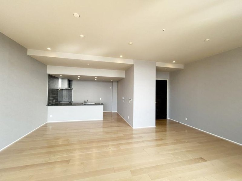 The Kitahama / Luxury Condominium / 2LDK, Osaka photo