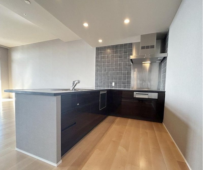 The Kitahama / Luxury Condominium / 2LDK, Osaka photo 15