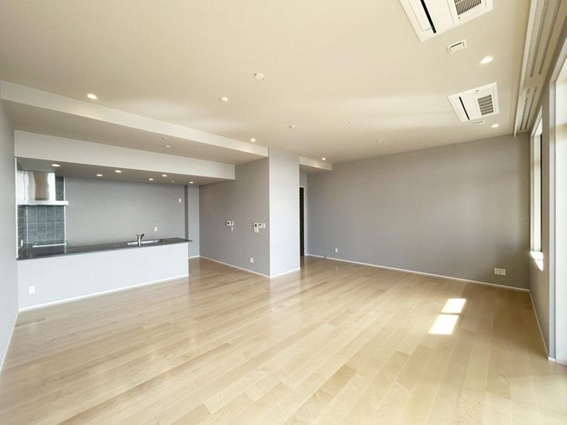 The Kitahama / Luxury Condominium / 2LDK, Osaka photo 2
