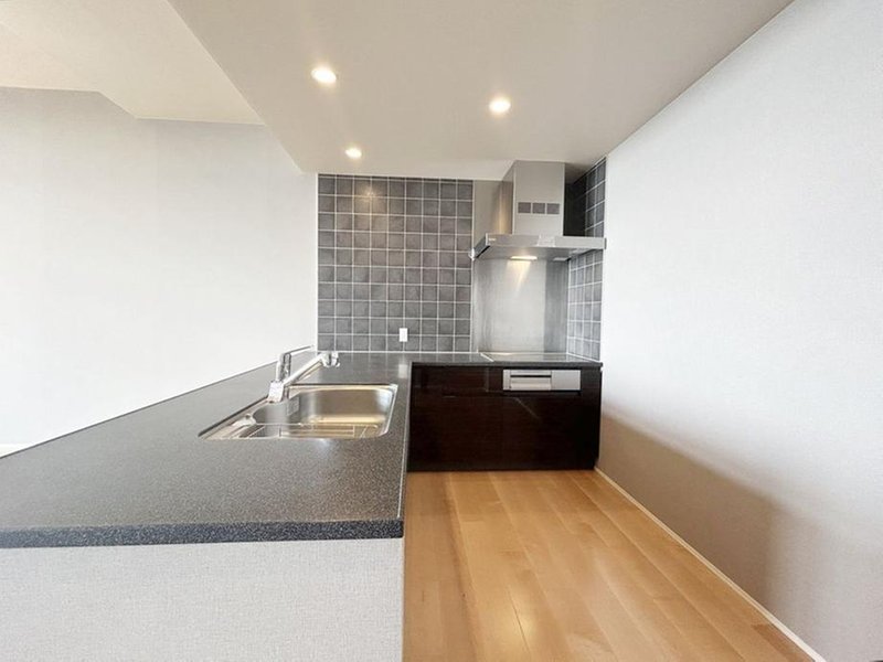 The Kitahama / Luxury Condominium / 2LDK, Osaka photo 5