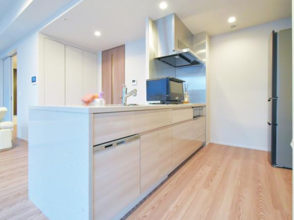 Brillia Tower Dojima / Luxury Condominium / 2LDK, Osaka photo 5