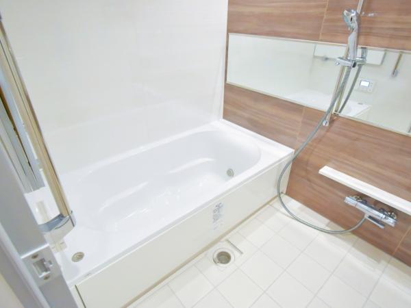 Brillia Tower Dojima / Luxury Condominium / 2LDK, Osaka photo 9