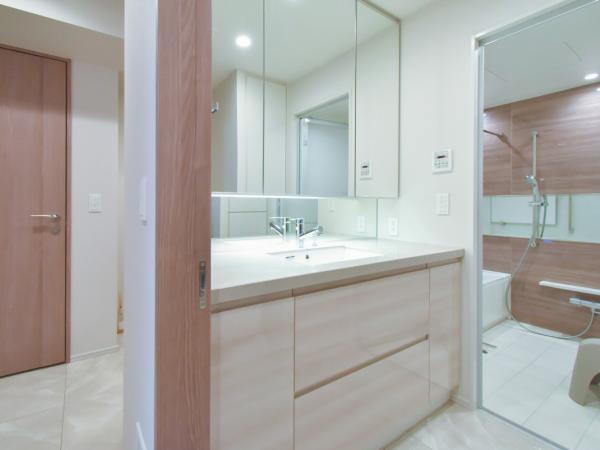 Brillia Tower Dojima / Luxury Condominium / 2LDK, Osaka photo 7