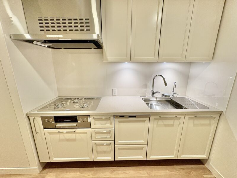 Gran Green Osaka THE NORTH RESIDENCE / 1LDK, Osaka photo 5