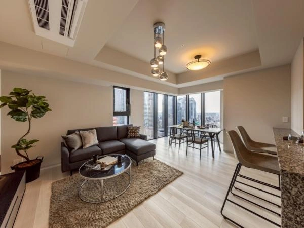 The Parkhouse Osaka Umeda Tower / Luxury Condominium / 3LDK, Osaka photo 3